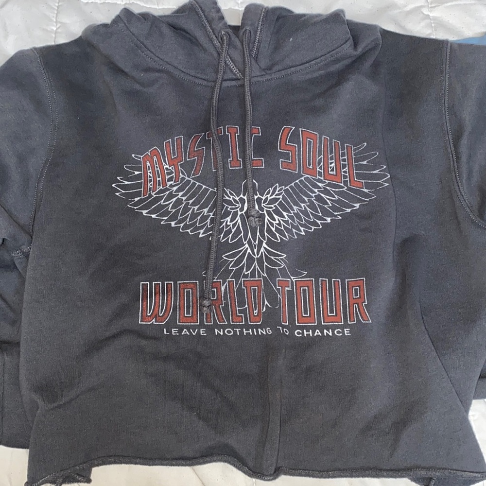 Hollister Crop Top Hoodie